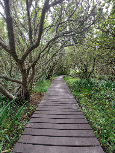 Lower Moors - Visual