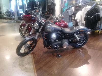 Photos of Harley-Davidson: Durban