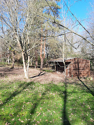 Photo n°9 de Autour des vignes (Els & Mario) à Herry (Chambre d'hôtes)