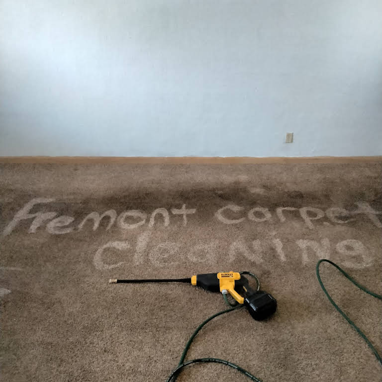 Fremont Carpet Tile Cleaning Service In