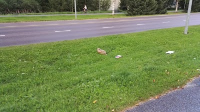 Photos of K-supermarket Kotikentt&auml;