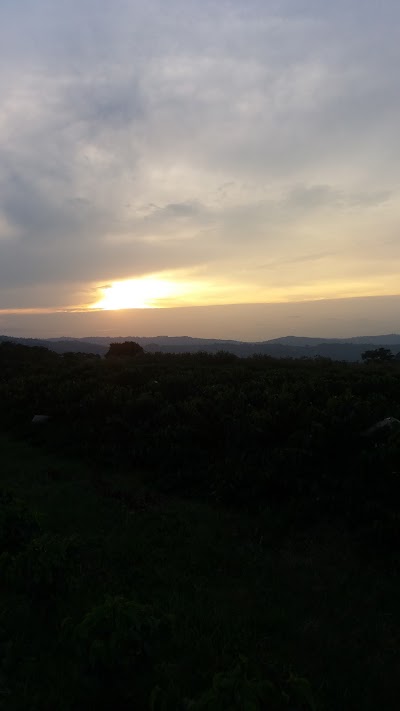 Photos of Hacienda Cafetera La Gaviota