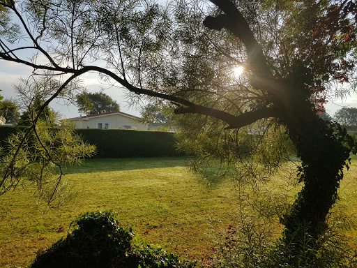 Marshmoor Park - Thumbnail