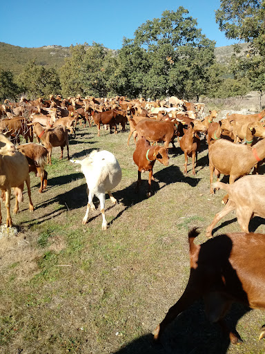 La Caperuza - Thumbnail