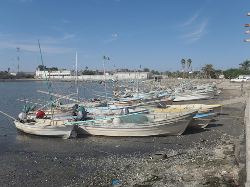 La Reforma, Angostura, Sinaloa - Thumbnail