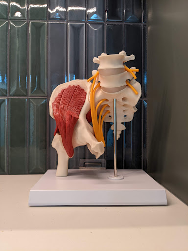 BANFF SPORT MEDICINE - Sport Medicine, Orthopaedics, Physiotherapy, & Allied Health - Thumbnail