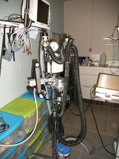 Photos of Centre V&eacute;t&eacute;rinaire Vet & Compagnie &agrave; Andenne Drs TARPATAKI et JOIRET