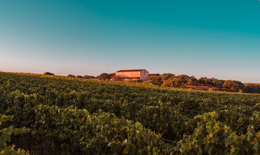 Poderi Parpinello - Visual