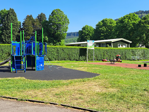 Treherbert Park - Thumbnail