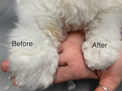 Zen Cat Grooming Spa