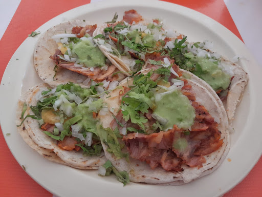ZuTaco - Visual