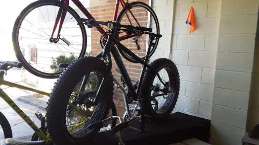 Tipp Cyclery - Visual