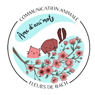 Magali Mathieu, Fleurs de Bach et Communication animale à Montreuil-sur-Mer