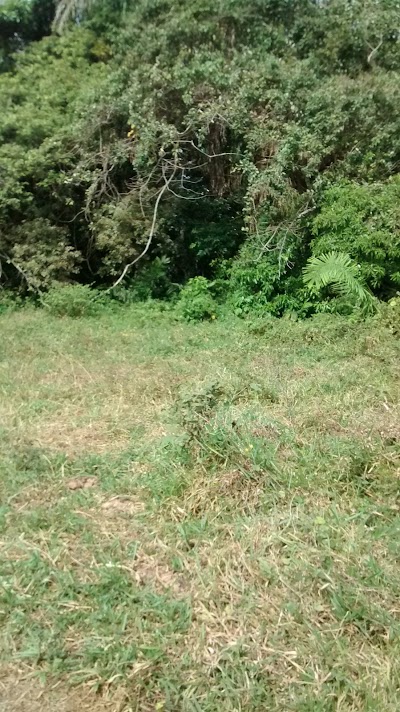 Photos of finca Campo Alegre