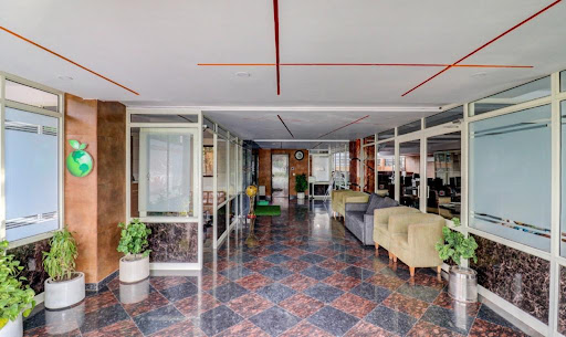 Gallery image 6