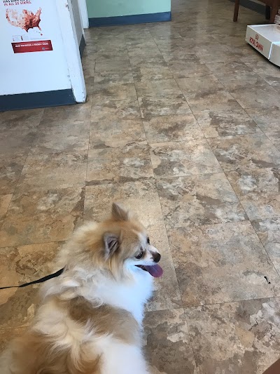 veterinary-care