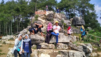 Photos of Hutan Pinus Kalilo