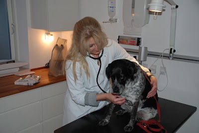 Photos of Hjortek&aelig;r Dyreklinik