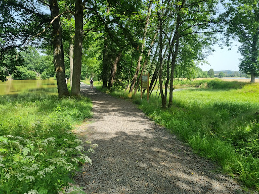 Schalksbachteiche - Visual
