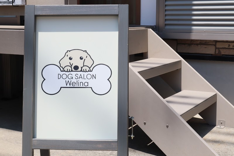 DOG SALON Welina