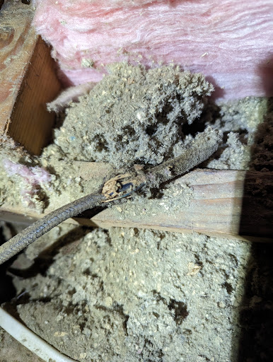 TDF Maintenance & Home Repair LLC - Thumbnail