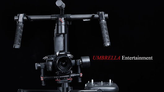 Umbrella Entertainment, LLC. 20245 W 12 Mile Rd #220, Southfield, MI 48076