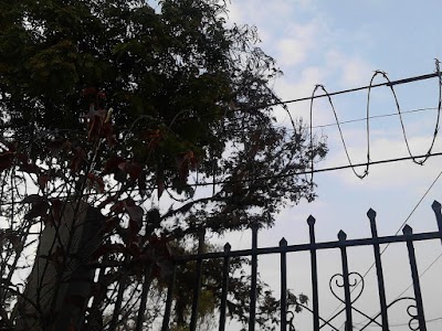 Photos of Surgical Medical Center El Carmen