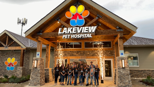 Lakeview Pet Hospital - Thumbnail
