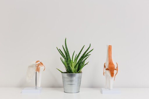 Pembrokeshire Osteopathy - Thumbnail