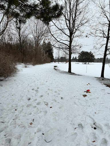 Elson Park - Visual