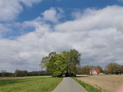 Ehrenfriedhof Gasselstiege