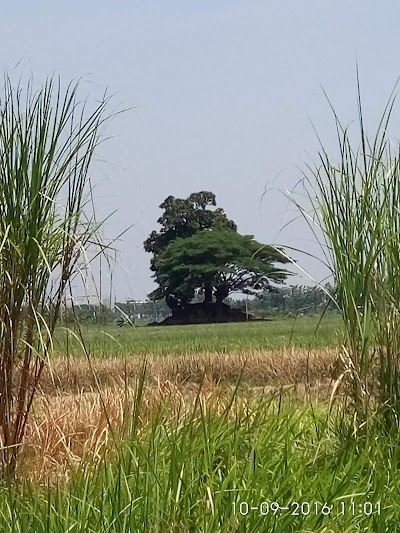 Hindu Temple