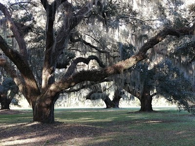 Hofwyl-Broadfield Plantation Historic Site