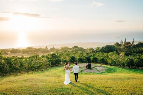 Holualoa Inn by null