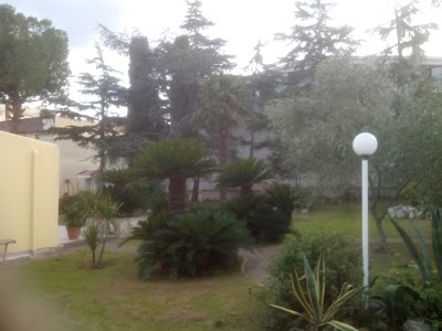 Photos of Bed & Breakfast Villa Garden