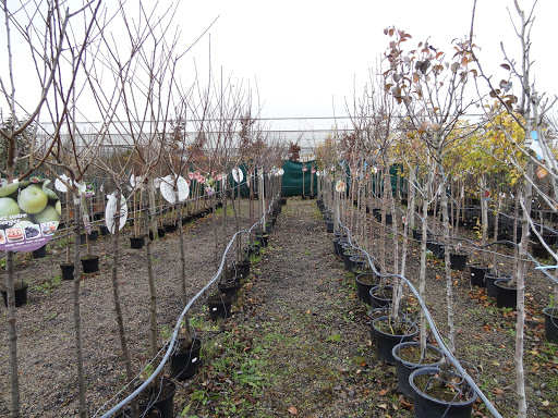 Les Jardins de Saint Eloy - Thumbnail