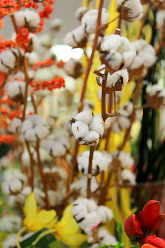 5 Rue du Puits Mauger, 35000 Rennes, France