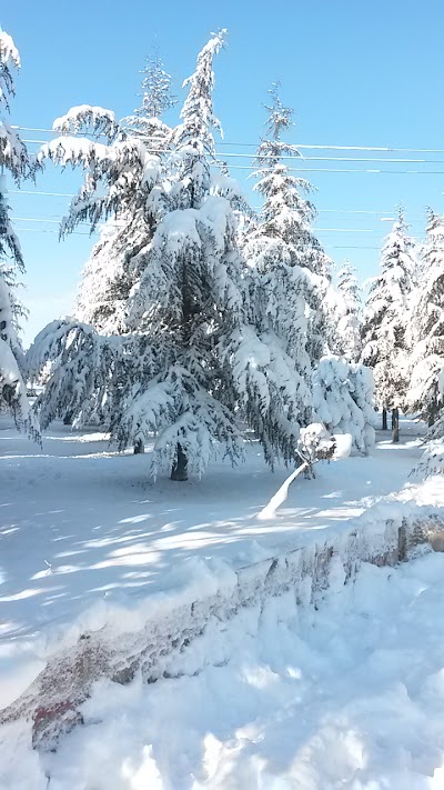 Photos of Yunuseli Recreation Park