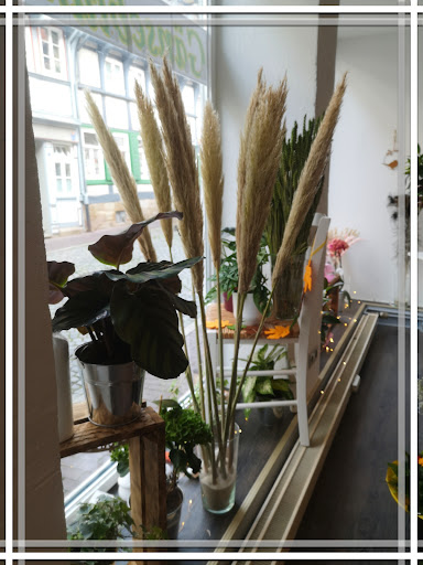 Blumenladen Gänseblümchen - Visual
