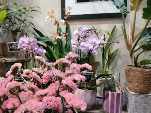 Photo n°20 de Au Nom de la Rose à Paris (Boutique de cadeaux)