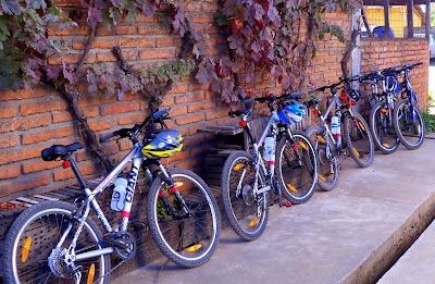 Photos of Alpaca Ciclismo