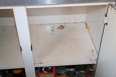 Photos of Dusted cleaning services