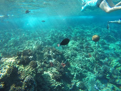 Molokini Island Preserve