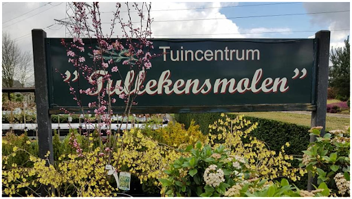 Tuincentrum Tullekensmolen - Thumbnail
