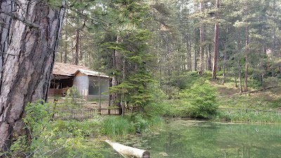 Dipsizgöl Nature Park