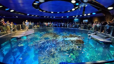 New England Aquarium