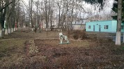 Фотография Детский сад № 71, дом 8, Балтийский переулок, Орёл, Россия