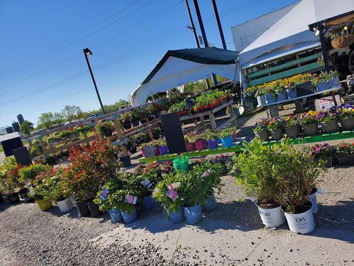 Troy Produce Patch - Visual