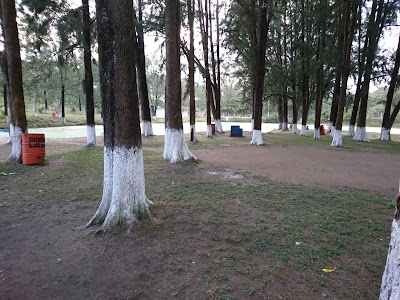 park