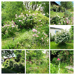 Photo n°8 de Binette et Pinceaux à Mercenac (Chambre d'hôtes)